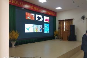 Ảnh các hoạt động